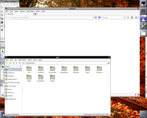 WindowMaker screenshot, showing Iceweasel, Terminal and others